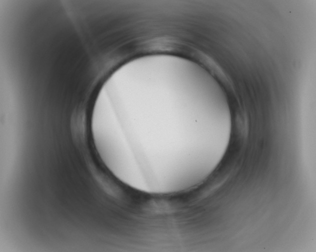 X0000113860534200910011023