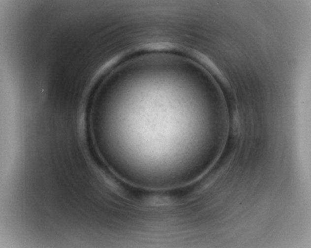 X0000113860535200910011023