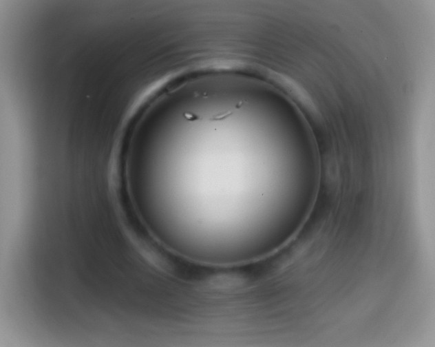 X0000113860536200910011023