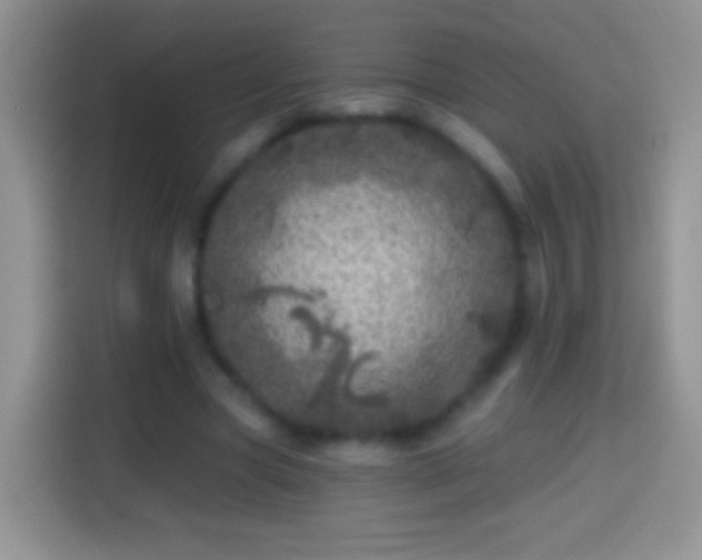 X0000113860537200910011023