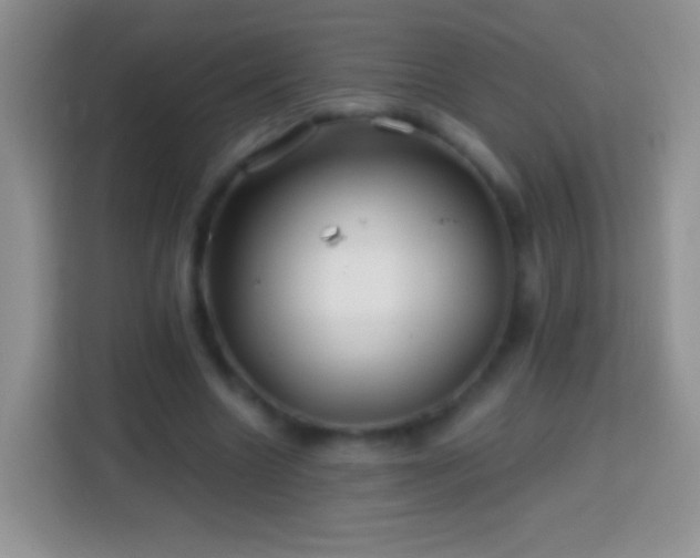 X0000113860538200910011023