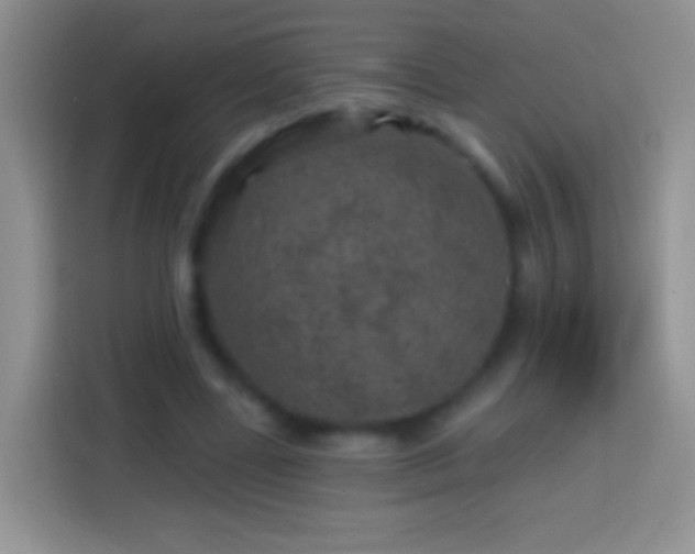 X0000113860539200910011023