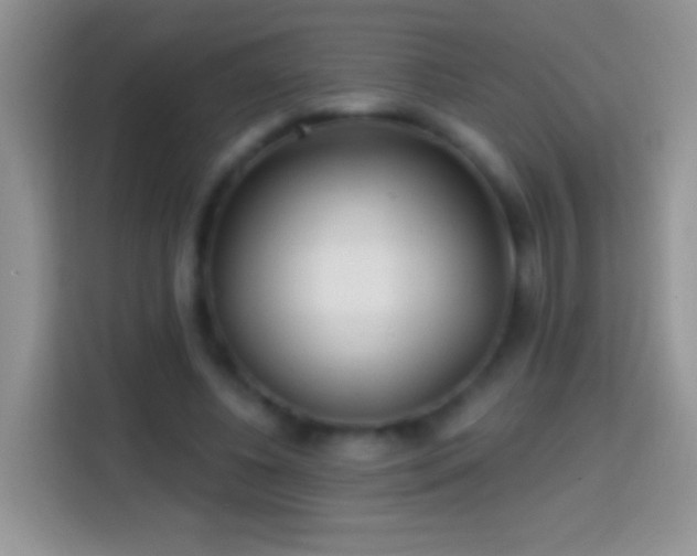 X0000113860540200910011023