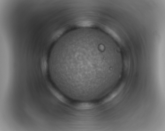 X0000113860541200910011023