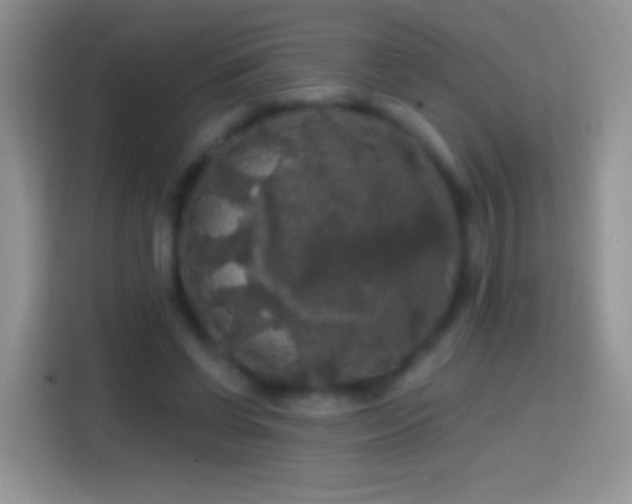 X0000113860542200910011023
