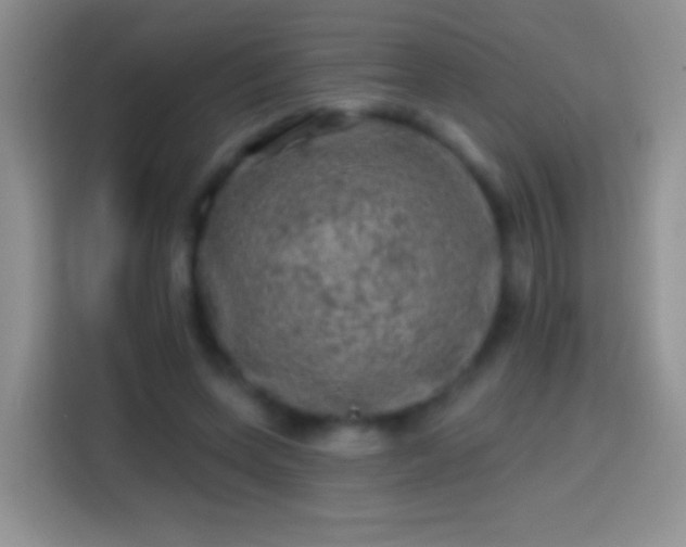 X0000113860543200910011023