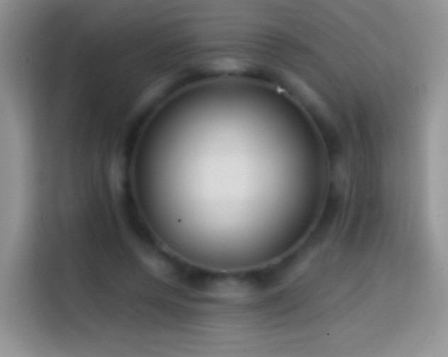X0000113860544200910011023