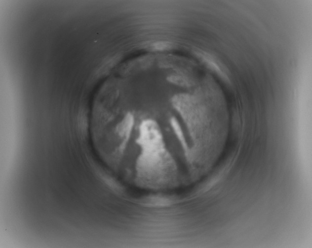 X0000113860545200910011023