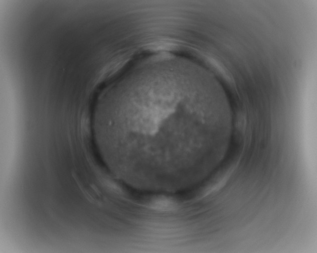 X0000113860547200910011023