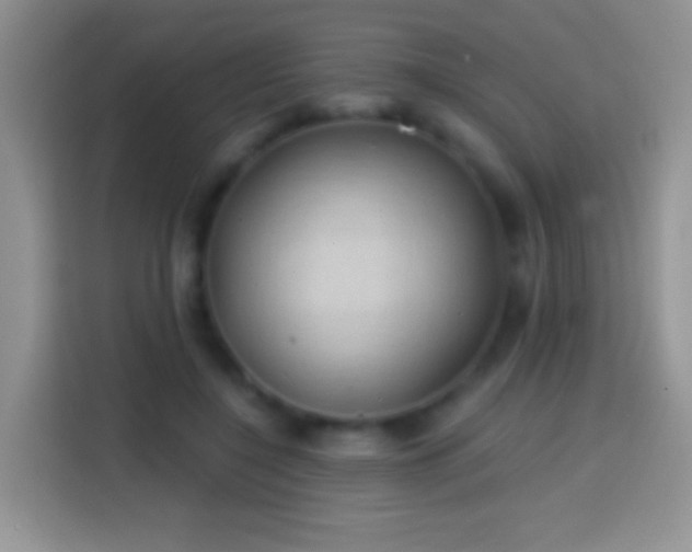 X0000113860548200910011023