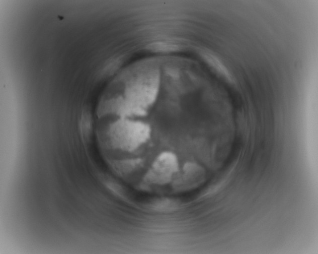 X0000113860549200910011023