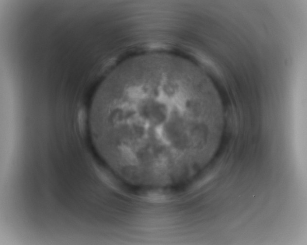 X0000113860550200910011023