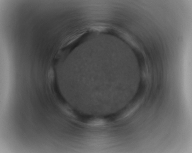 X0000113860551200910011023