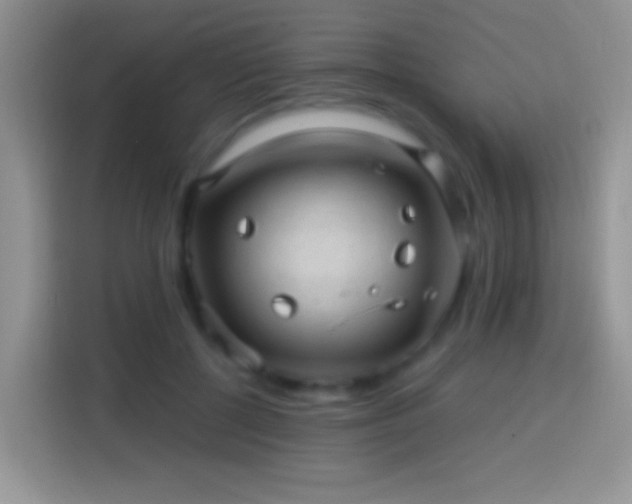 X0000113860552200910011023