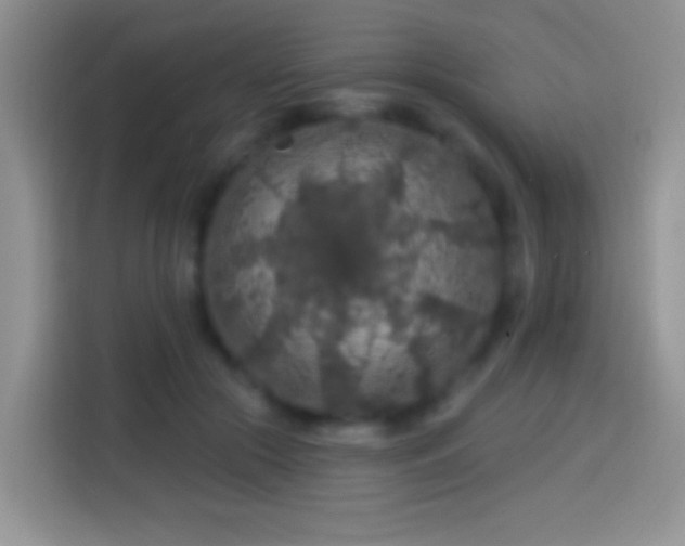 X0000113860553200910011023