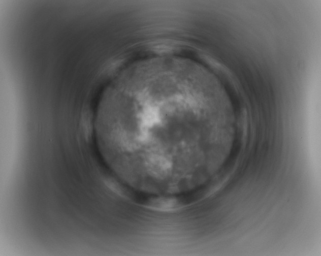 X0000113860554200910011023