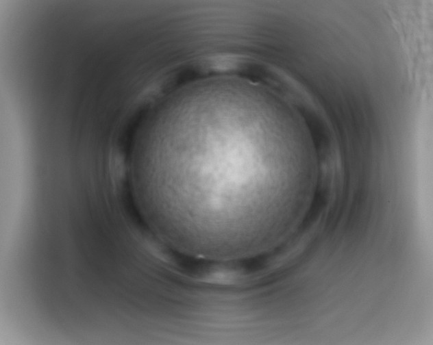 X0000113860555200910011023