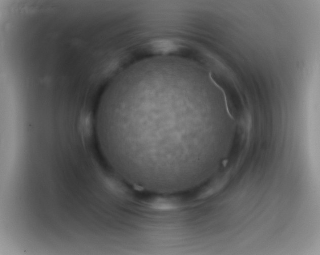 X0000113860556200910011023