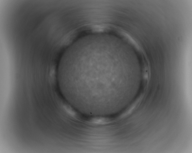 X0000113860557200910011023