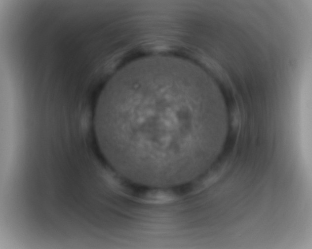 X0000113860559200910011023
