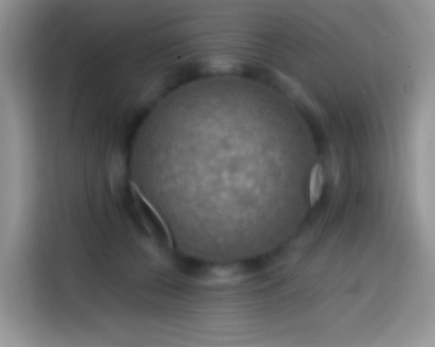 X0000113860560200910011023