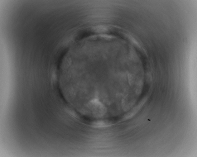 X0000113860561200910011023