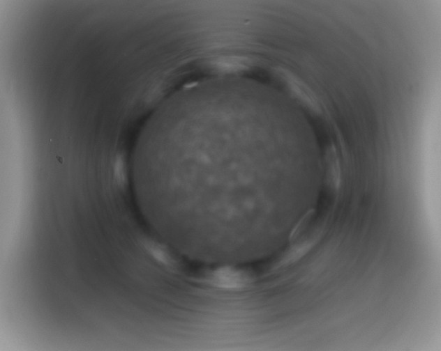X0000113860562200910011023
