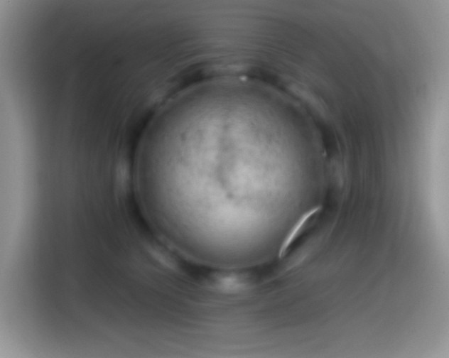 X0000113860564200910011023