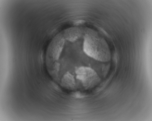 X0000113860565200910011023