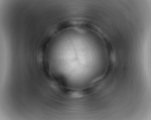 X0000113860567200910011023
