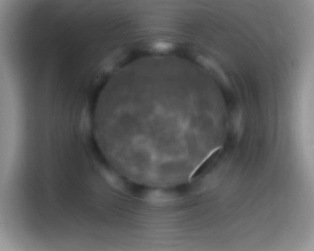 X0000113860568200910011023