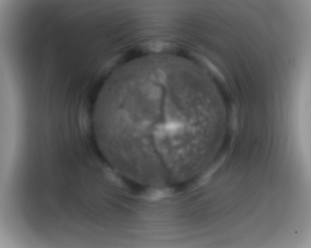 X0000113860569200910011024