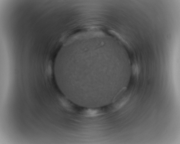 X0000113860570200910011024