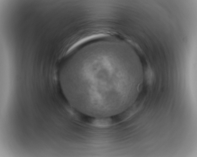 X0000113860571200910011024