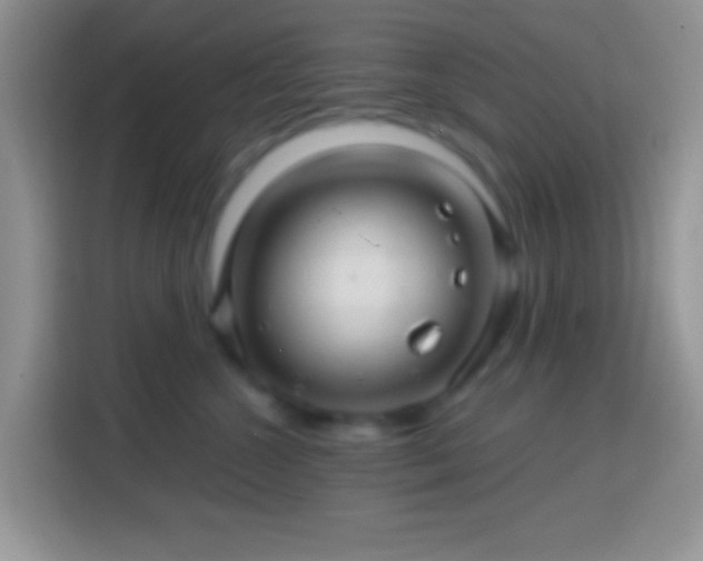 X0000113860572200910011024