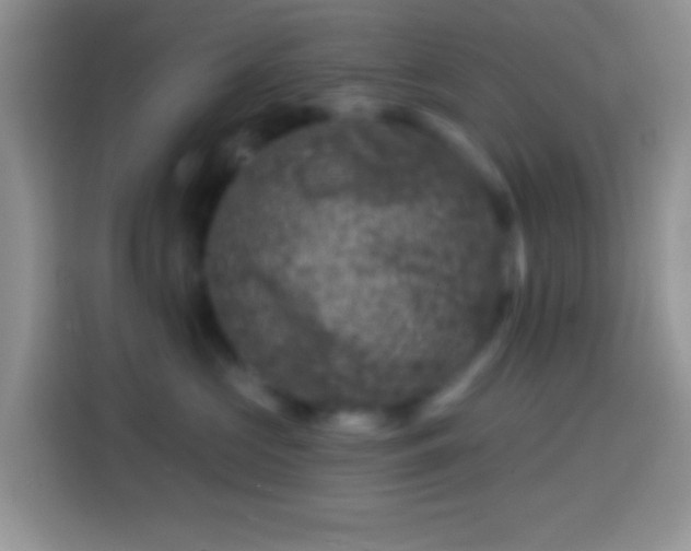 X0000113860573200910011024
