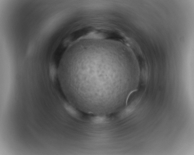 X0000113860574200910011024