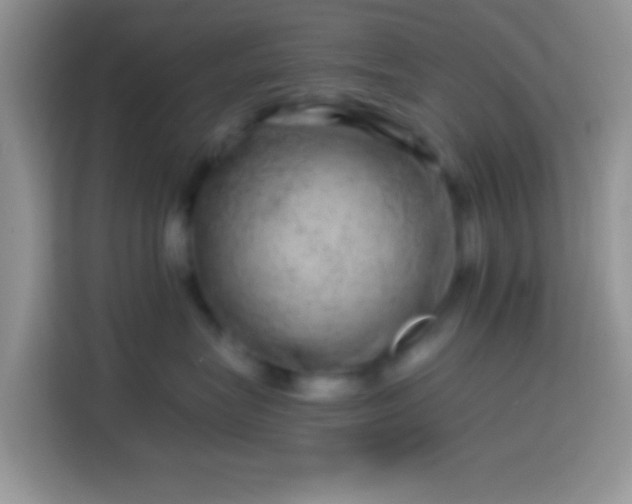 X0000113860575200910011024