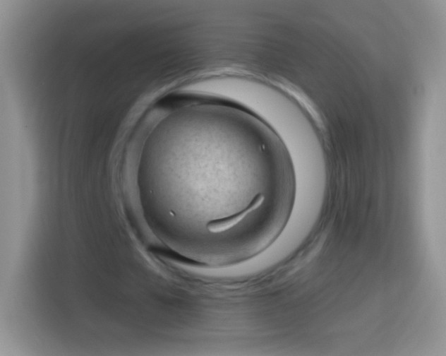 X0000113860577200910011023