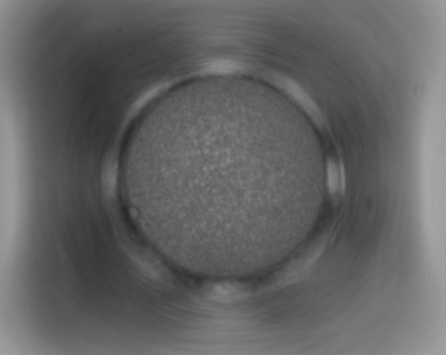 X0000113860579200910011023