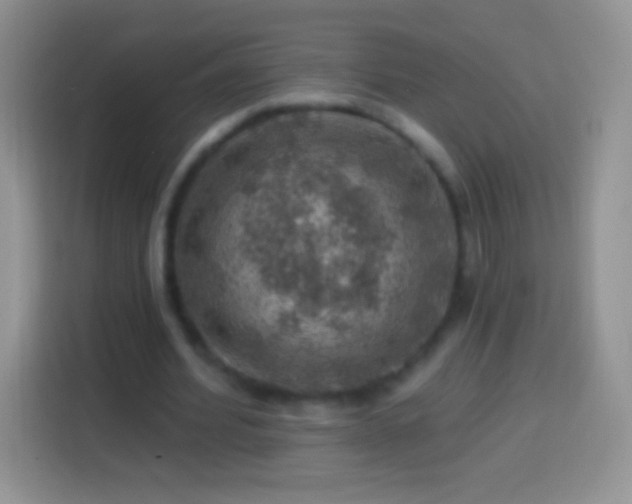 X0000113860580200910011023