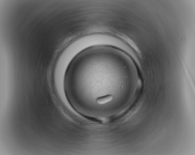 X0000113860581200910011023