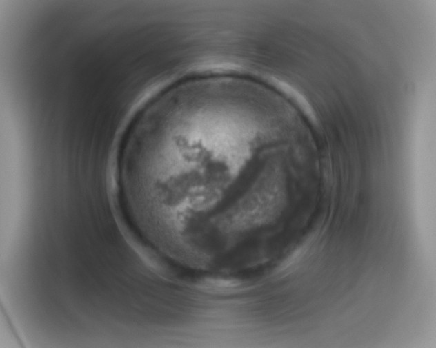 X0000113860582200910011023