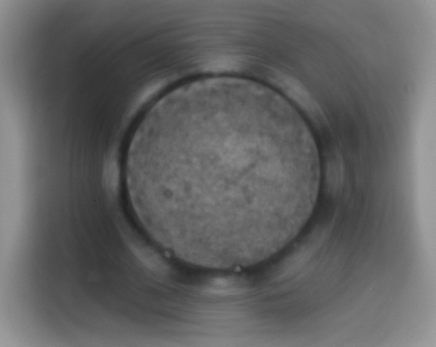 X0000113860584200910011023
