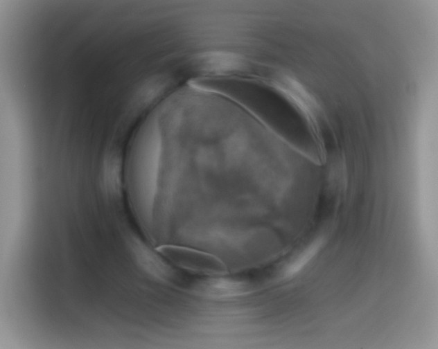 X0000113860585200910011023