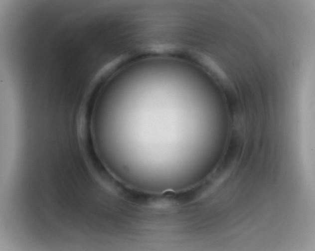X0000113860587200910011023