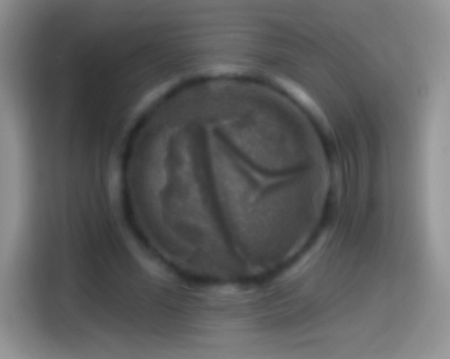 X0000113860588200910011023