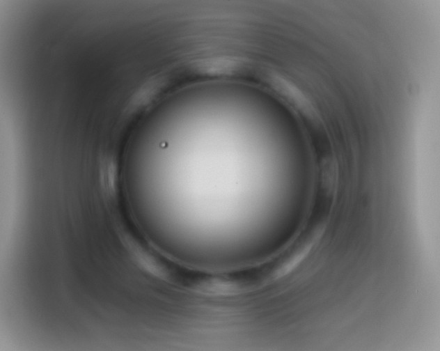X0000113860589200910011023