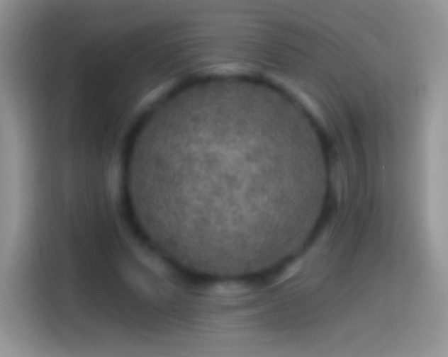 X0000113860591200910011023