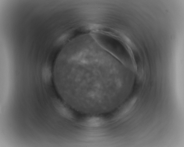 X0000113860593200910011023